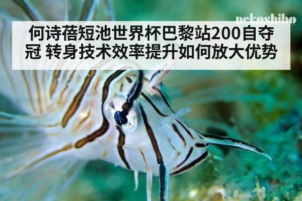 何诗蓓短池世界杯巴黎站200自夺冠 转身技术效率提升如何放大优势